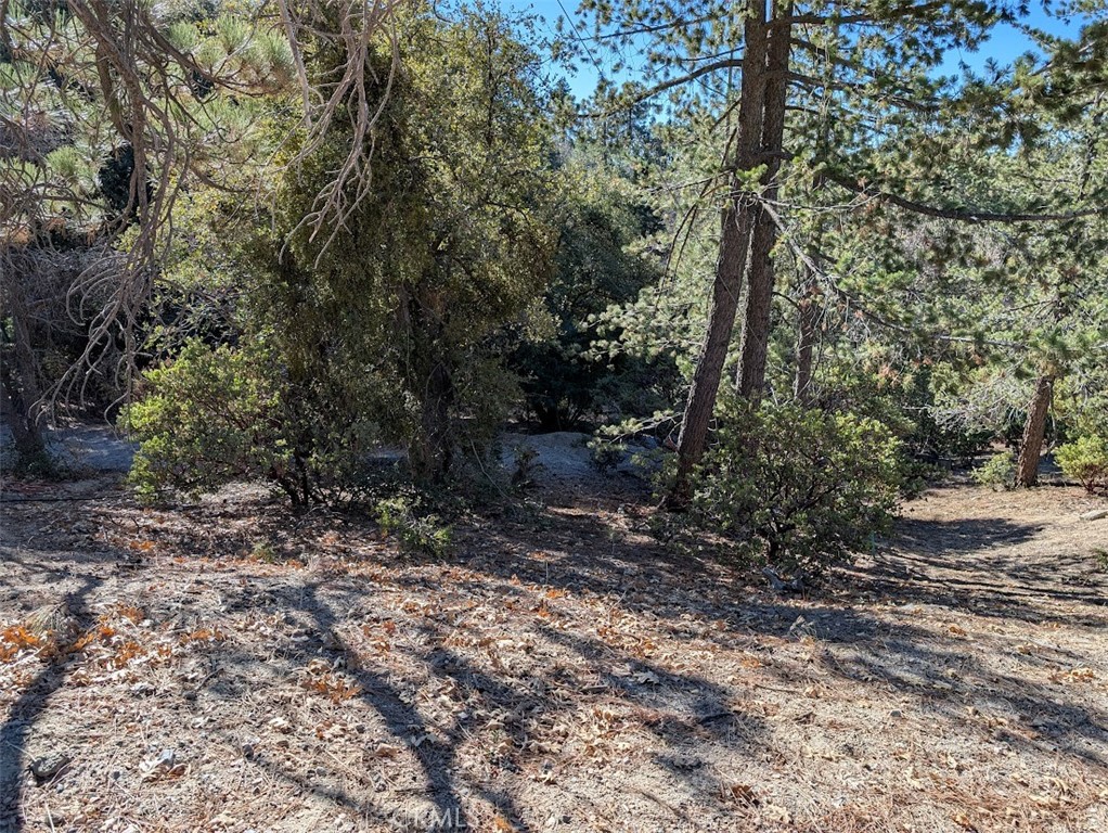 0 Schaffer Property Photo 20