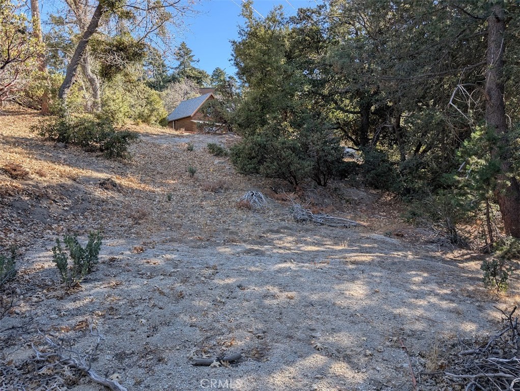 0 Schaffer Property Photo 22