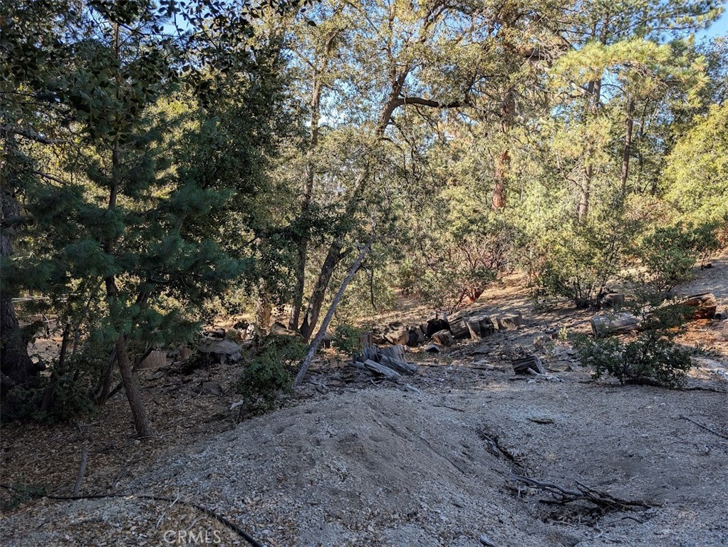 0 Schaffer Property Photo 23