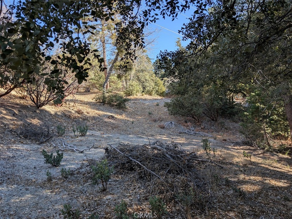 0 Schaffer Property Photo 24