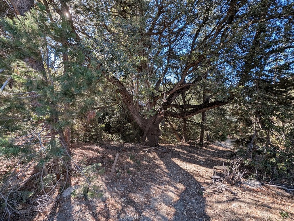 0 Schaffer Property Photo 25