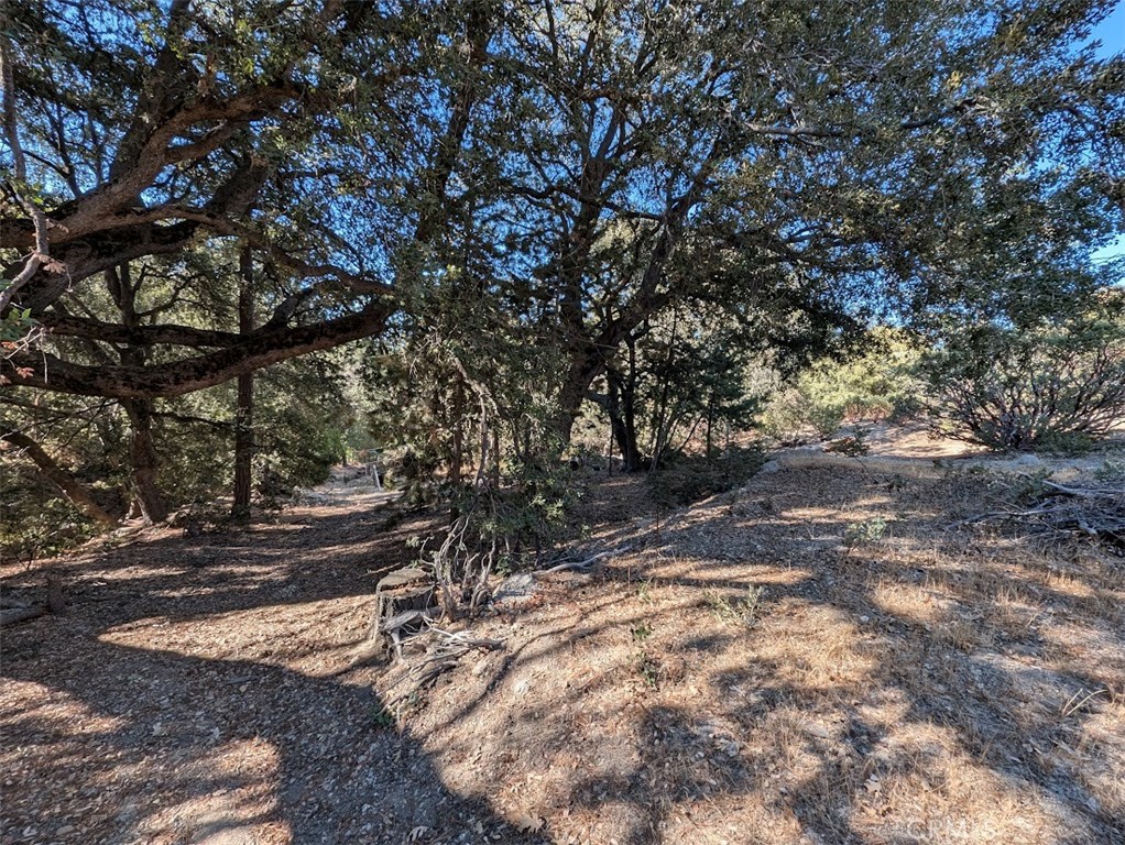 0 Schaffer Property Photo 26