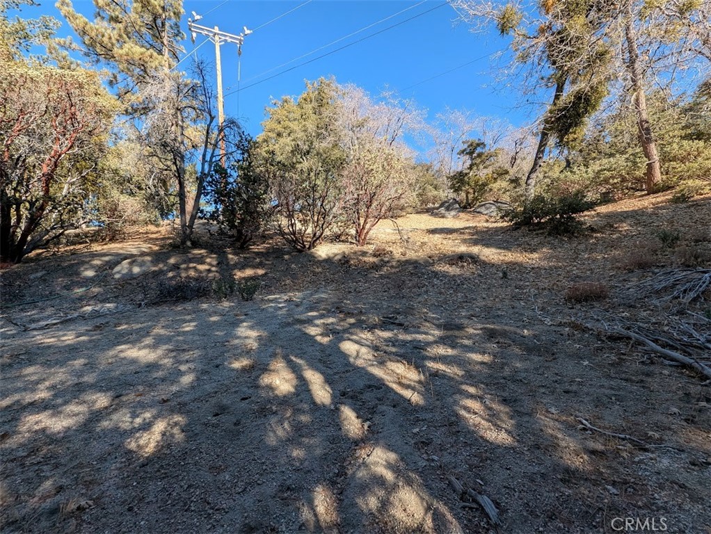 0 Schaffer Property Photo 27
