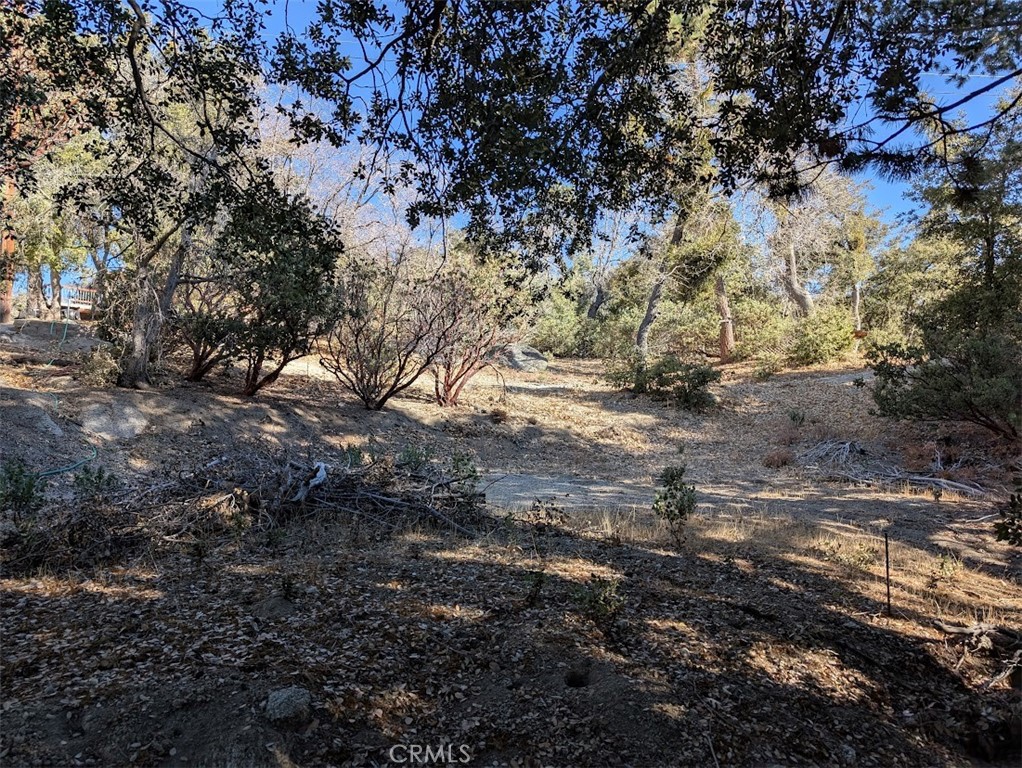 0 Schaffer Property Photo 28
