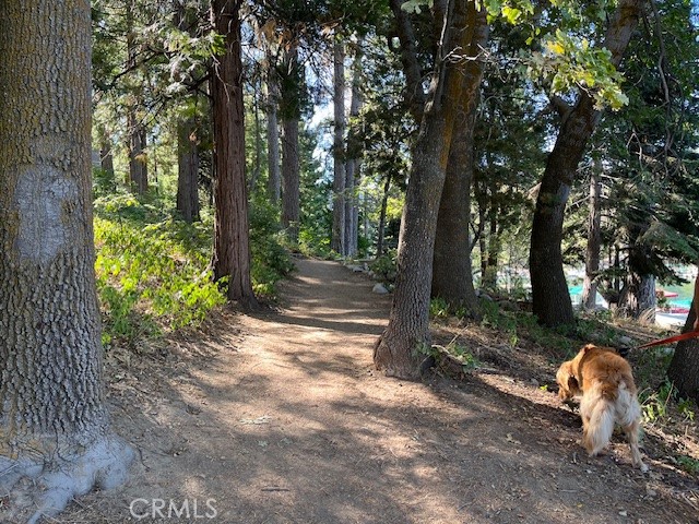 300 Bret Harte Road Property Photo 38