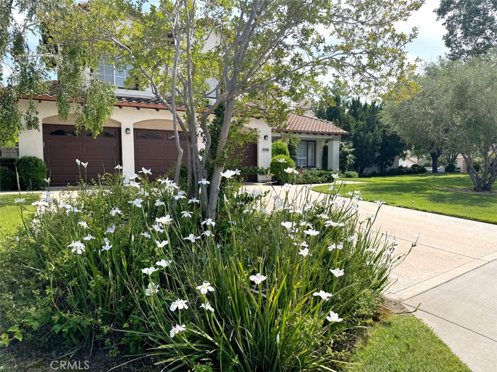 14043 Shepherd Drive Property Photo 53
