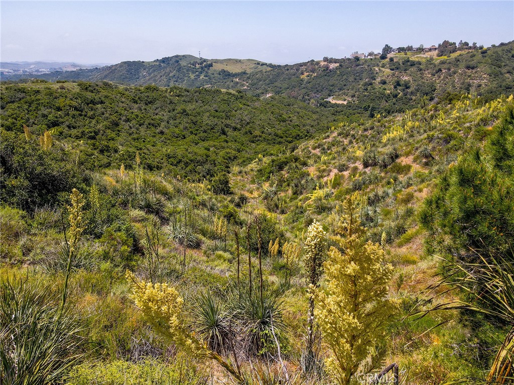 0 Chris Lane Property Photo 26