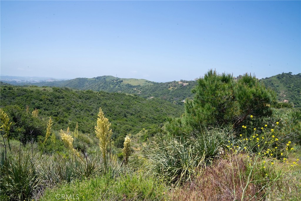 0 Chris Lane Property Photo 28