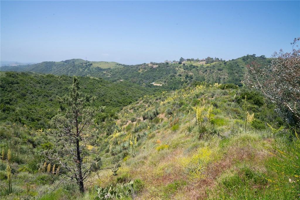 0 Chris Lane Property Photo 29