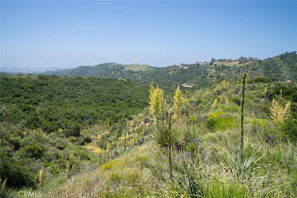 0 Chris Lane Property Photo 30