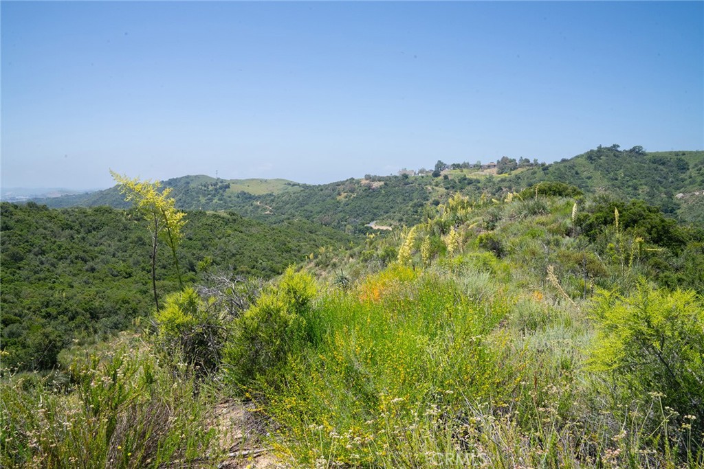 0 Chris Lane Property Photo 32