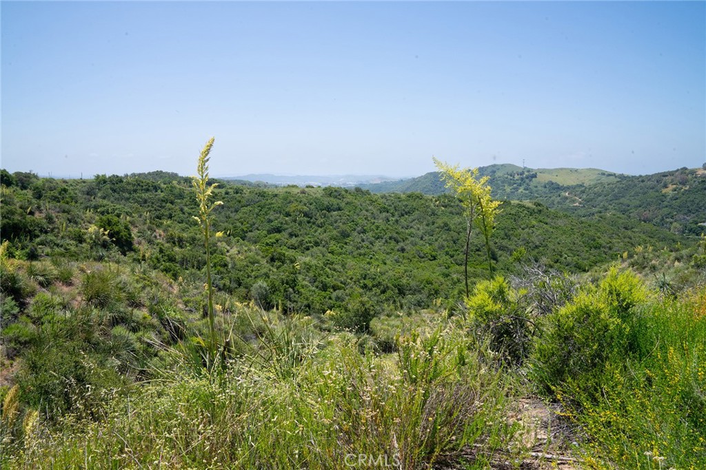 0 Chris Lane Property Photo 33