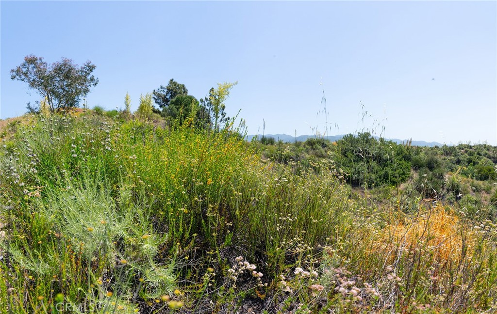 0 Chris Lane Property Photo 40