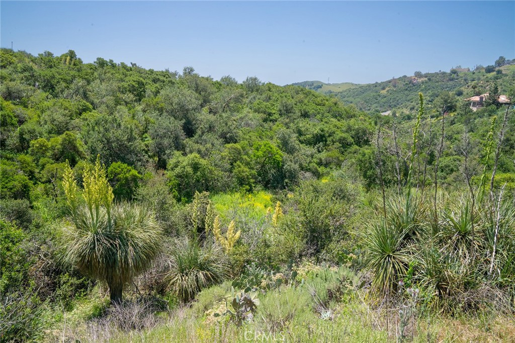 0 Chris Lane Property Photo 41