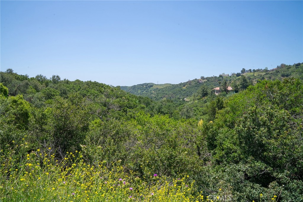 0 Chris Lane Property Photo 42
