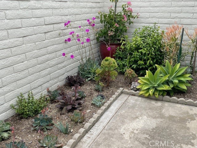 22846 Dominita Road Property Photo 3