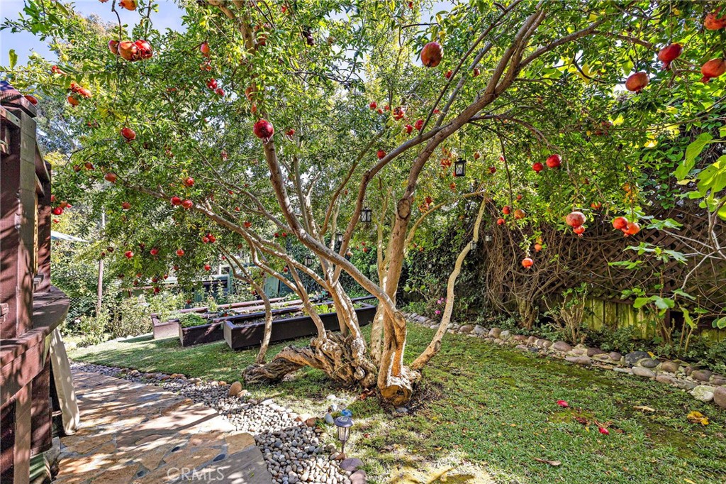 773 Saint Ann's Property Photo 25