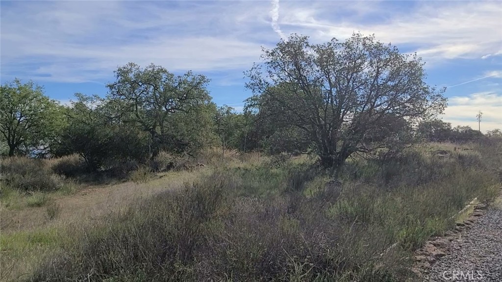 39280 Redonda Mesa Property Photo 8