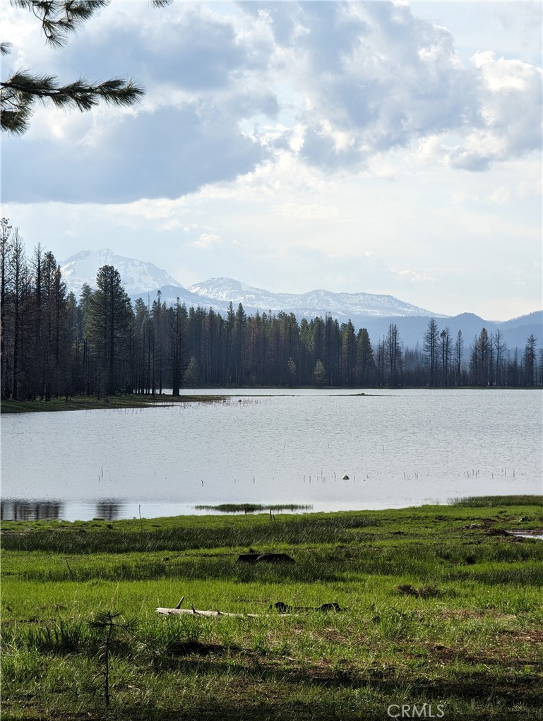 115 Lake Almanor West Drive Property Photo 10