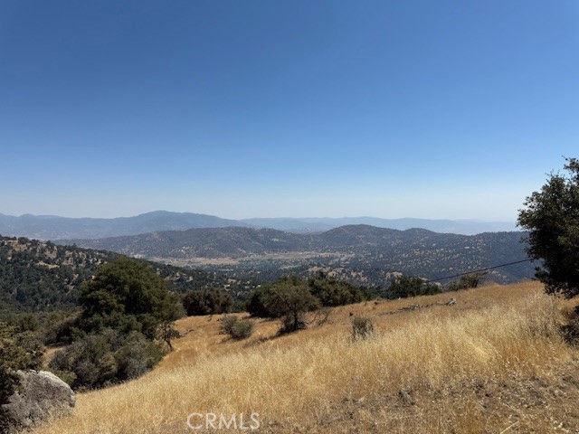 27251 Deertrail Property Photo 2