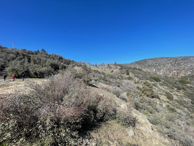 27251 Deertrail Property Photo 6