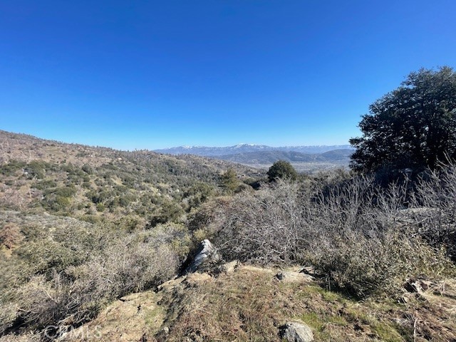 27251 Deertrail Property Photo 8
