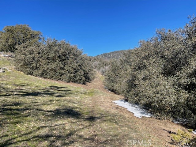 27251 Deertrail Property Photo 9