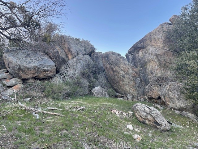 27251 Deertrail Property Photo 10