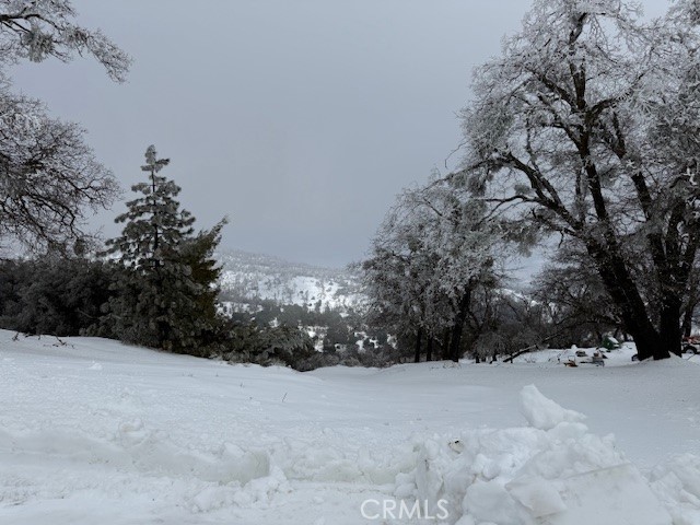 27251 Deertrail Property Photo 14