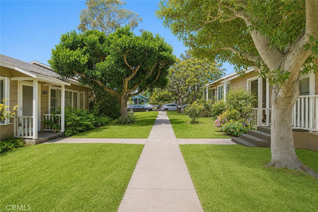 379 Aster Property Photo 8