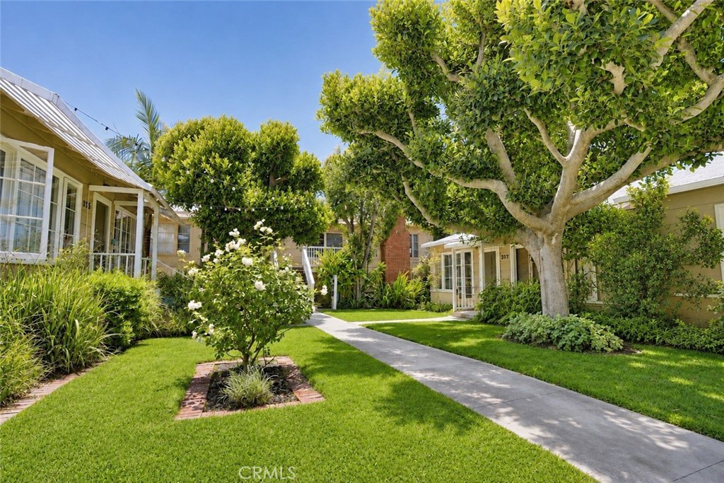 379 Aster Property Photo 10