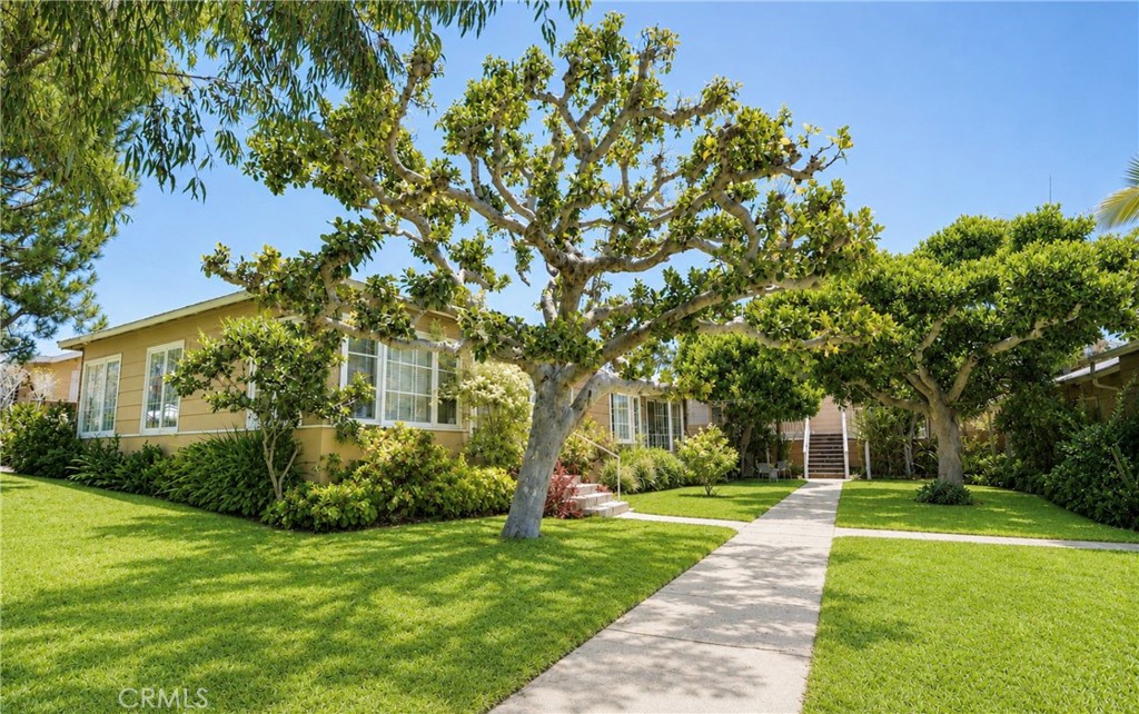 379 Aster Property Photo 12