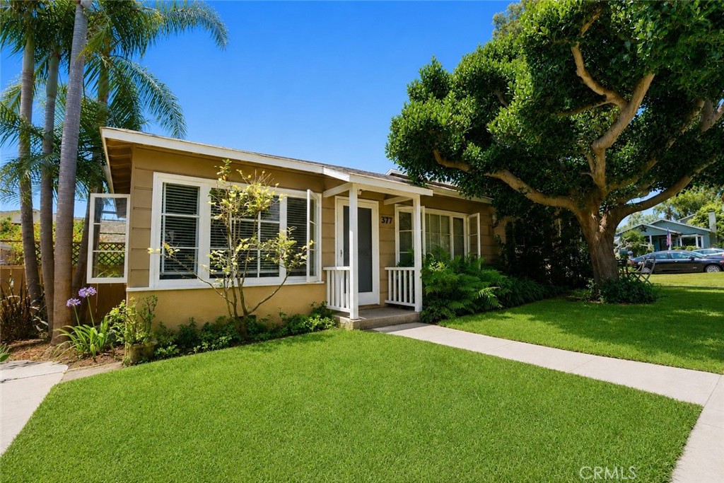 379 Aster Property Photo 14