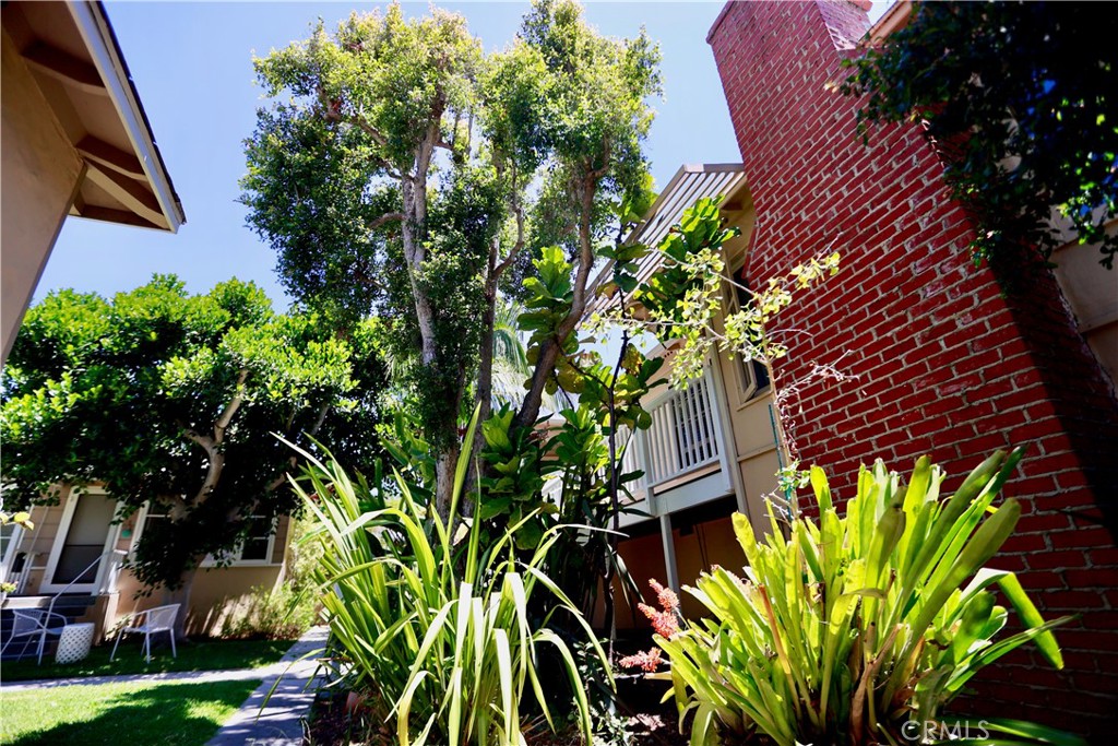 379 Aster Property Photo 21