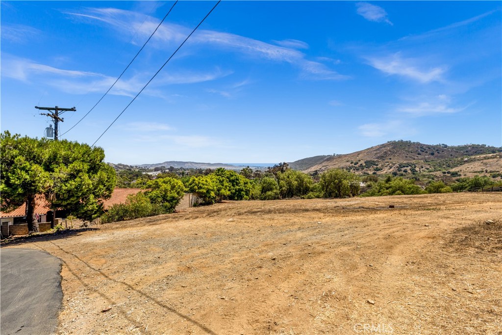 29600 Spotted Bull Lane Property Photo 12