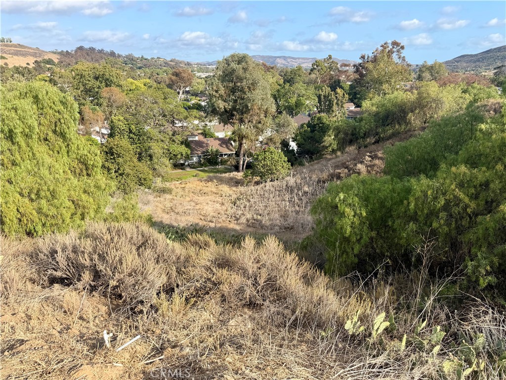 29600 Spotted Bull Lane Property Photo 15