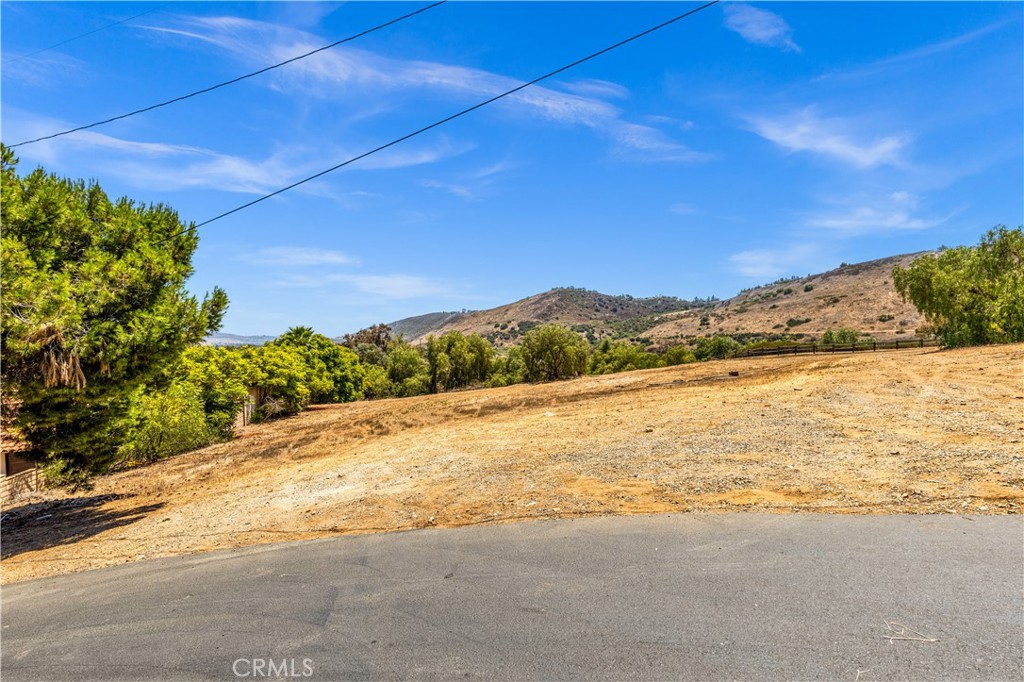 29600 Spotted Bull Lane Property Photo 17