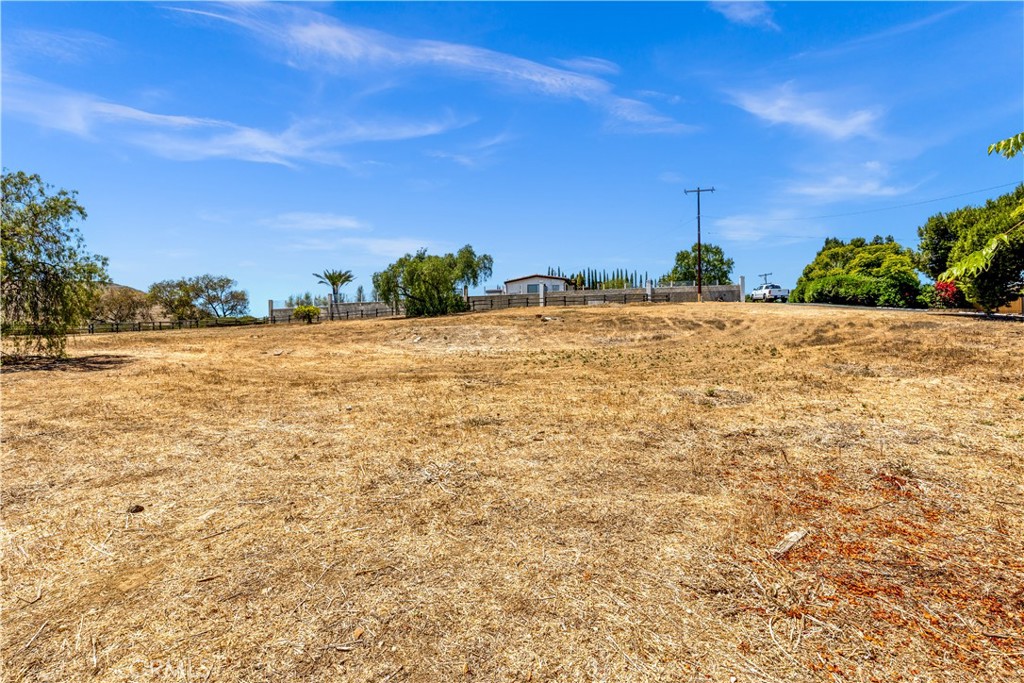 29600 Spotted Bull Lane Property Photo 19