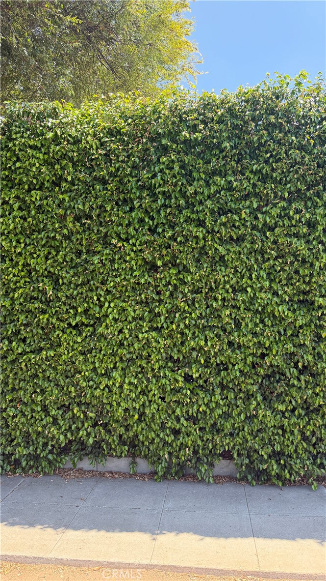300 N Carmelo Property Photo 4
