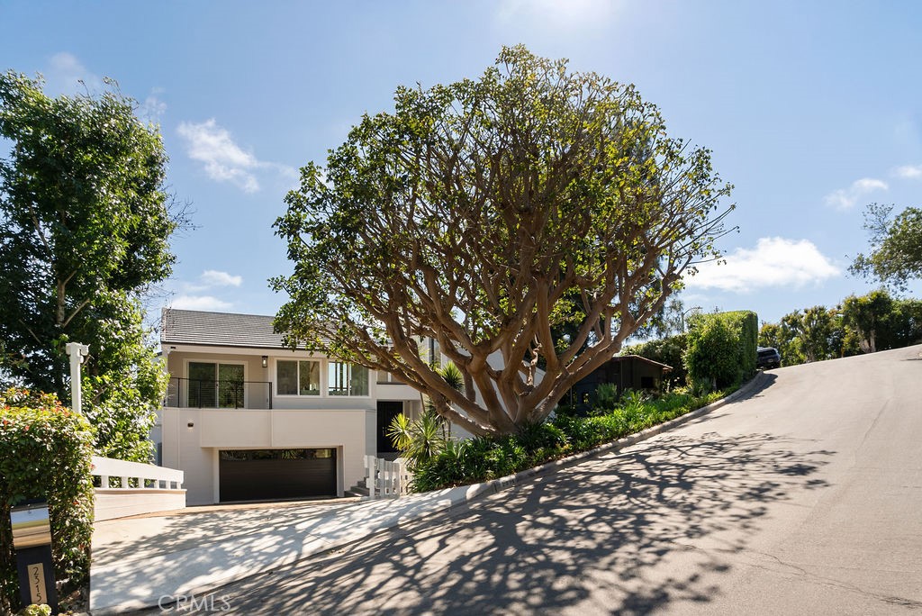 2315 Hillview Property Photo 49