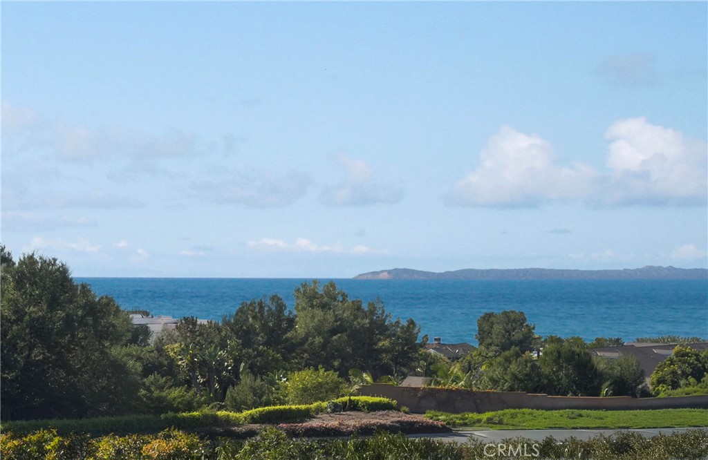 75 Palm Beach Court Property Photo 29