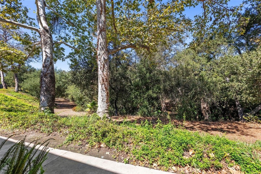 26495 Via Damasco Property Photo 12