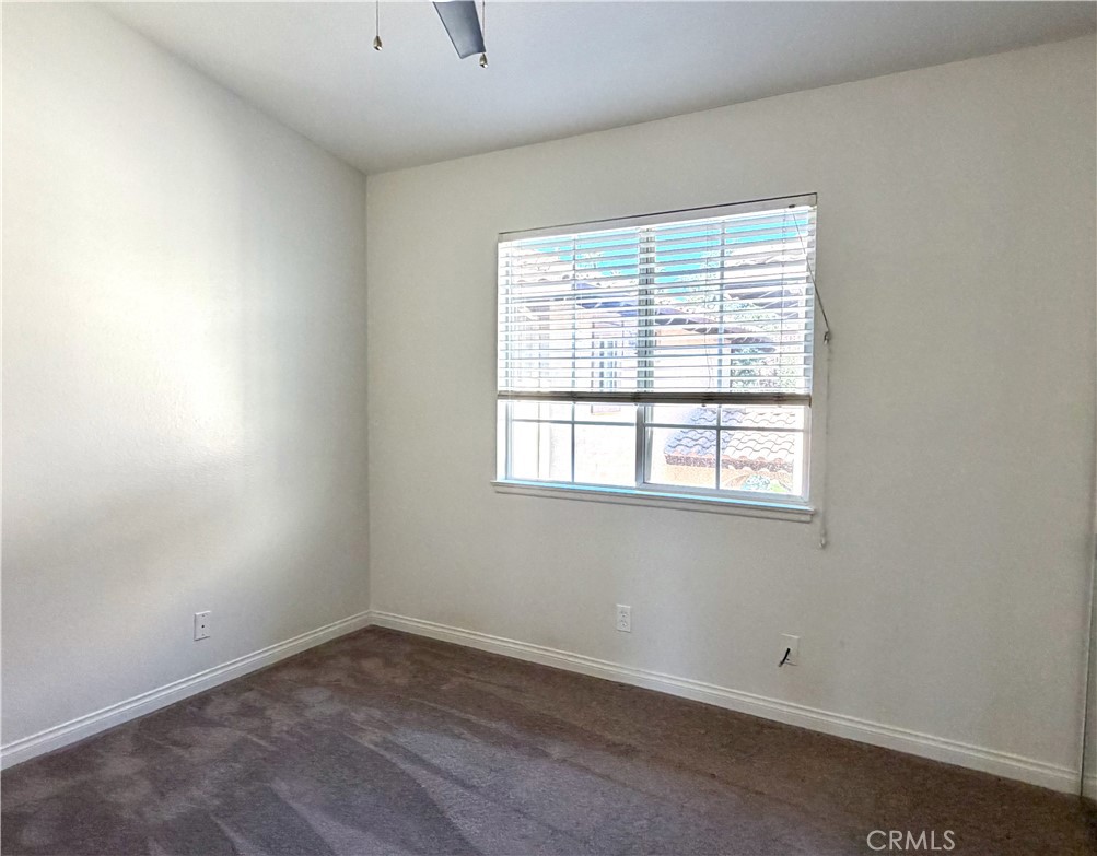 320 Pasto Rico Property Photo 19
