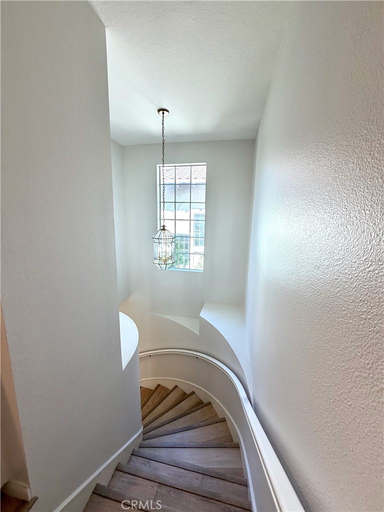 320 Pasto Rico Property Photo 22