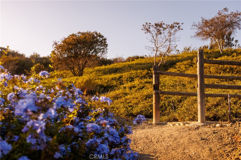 18 Via Alcamo Property Photo 33