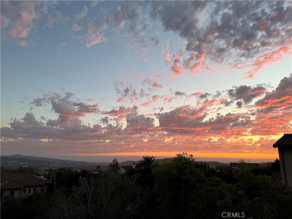 18 Via Alcamo Property Photo 35