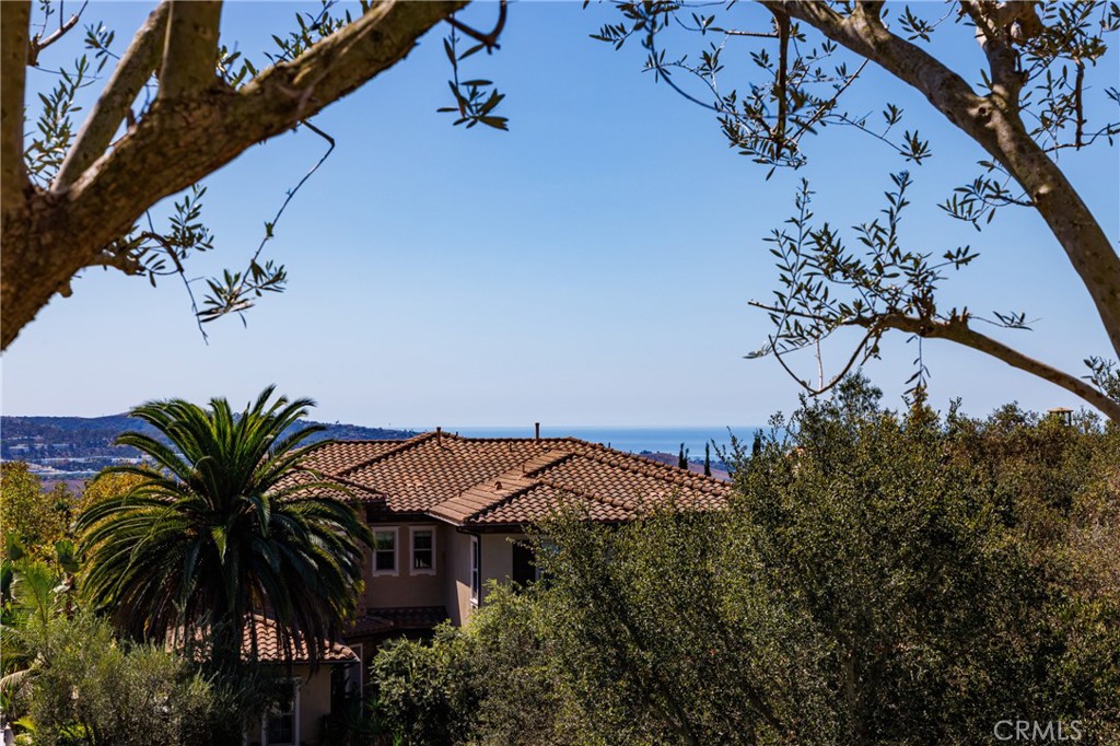 18 Via Alcamo Property Photo 38
