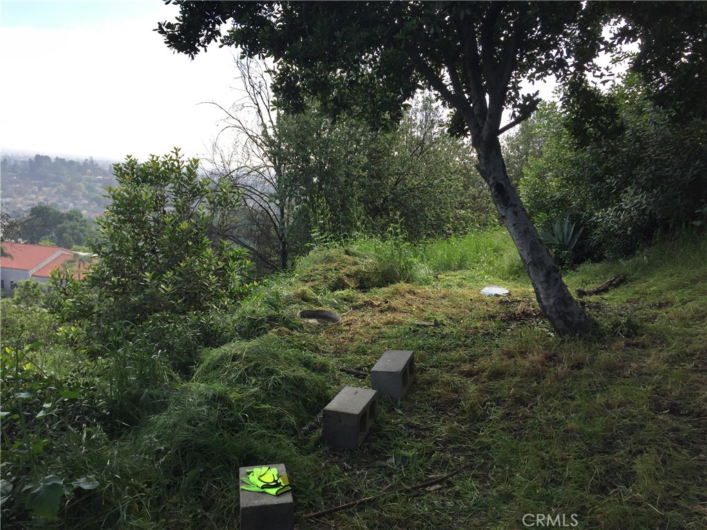 0 Garvey Property Photo 7