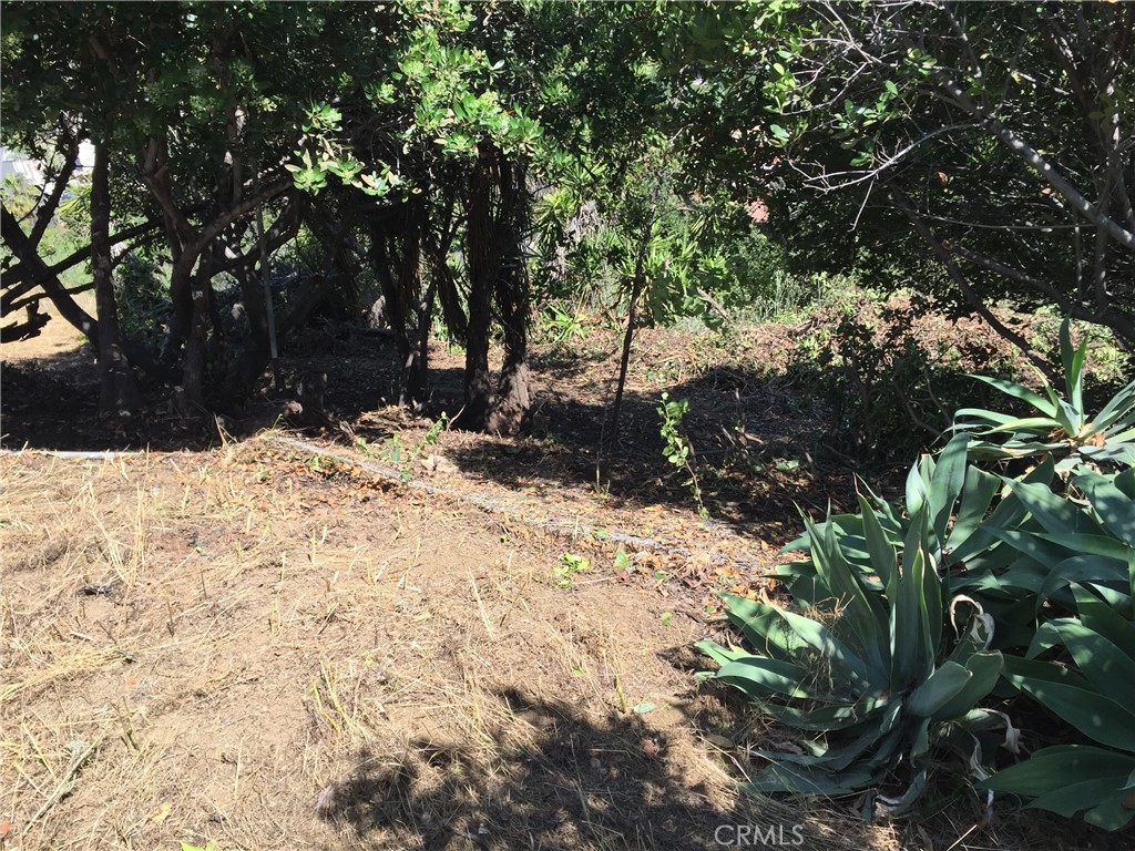 0 Garvey Property Photo 17