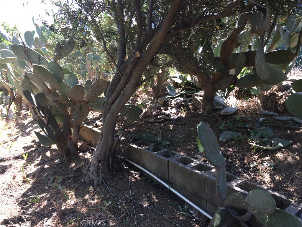 0 Garvey Property Photo 20